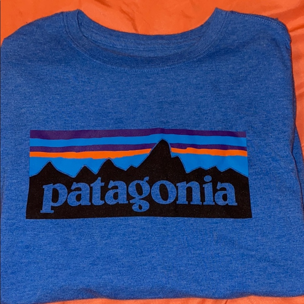 Patagonia Logo Tee